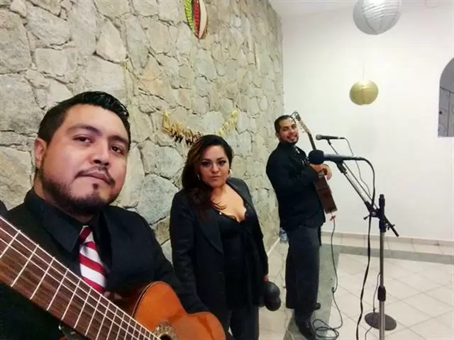 trios musicales en naucalpan image 1