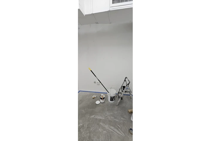 Servicio pintura image 7