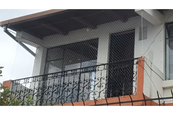 $1 : Nylon Transparente Proteccion image 2