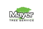 Tree service Cambridge, MA thumbnail