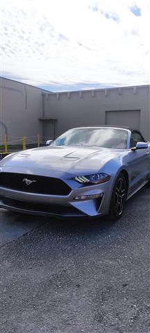 $28000 : Ford Mustang 2020 image 10