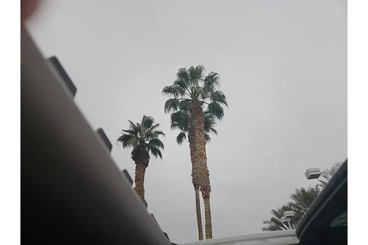 $26144 : Honda Civic 2024 Touring 4dr image 5