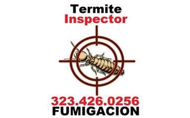 Fumigaciones Termitas?  24/7. image 3