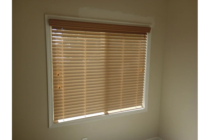 CARPET SERVICE image 5