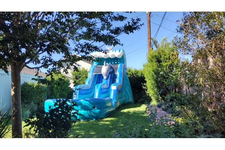 Party rentals image 8
