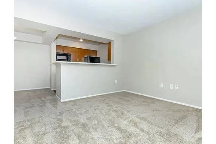 $1250 : Beautiful 3bedroom Apt in NV image 3