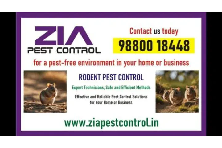 Zia pest control image 1