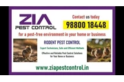 Zia pest control en Birmingham