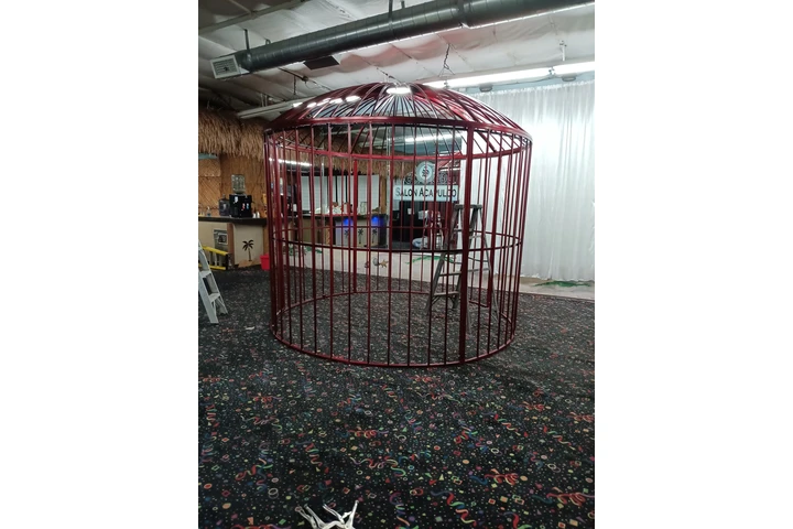 FENCES GASTES EXPRES image 8