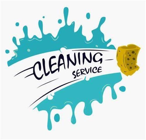 Professional Cleaning image 3