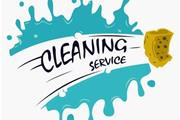 Professional Cleaning thumbnail