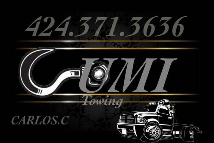 Grua todo los angeles image 1