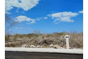 REMATO TERRENO 5min PLAYA en Aguascalientes