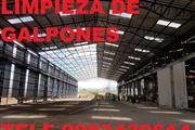 LIMPIEZA DE GALPONES INDUSTRIA thumbnail