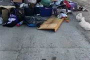 Removemos Basura ca en Los Angeles