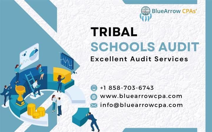 Tribal Schools Audit Services image 1