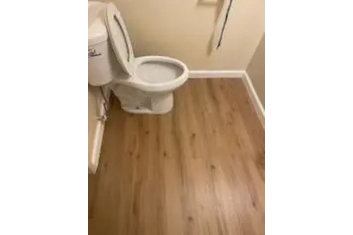 Ramona’s Carpet image 3