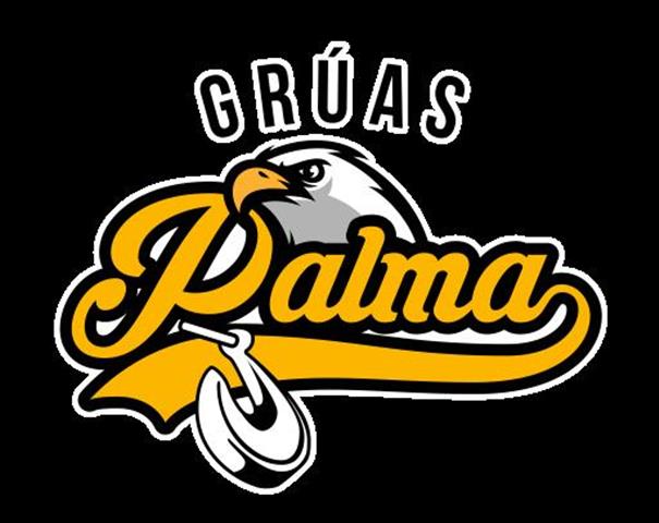 GRÚAS PALMA image 1