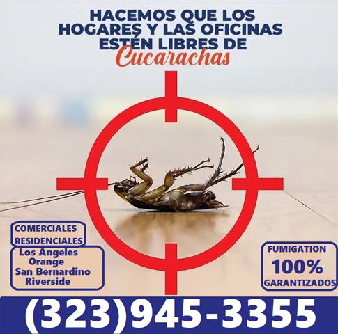 FUMIGACIONES 24/7 PEST CONTROL image 1