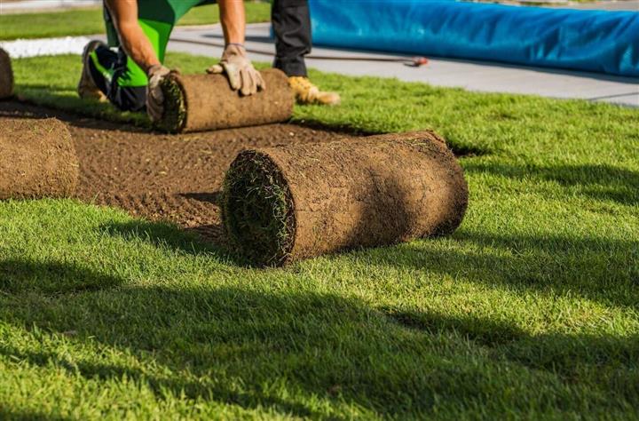 Turf Installation Melbourne image 1