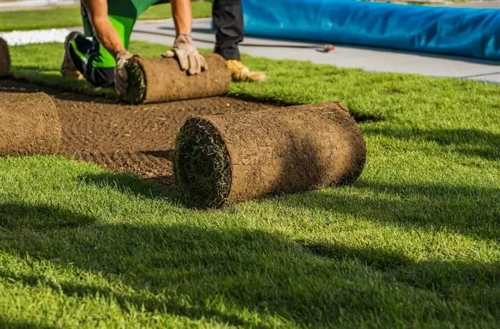 Turf Installation Melbourne image 1