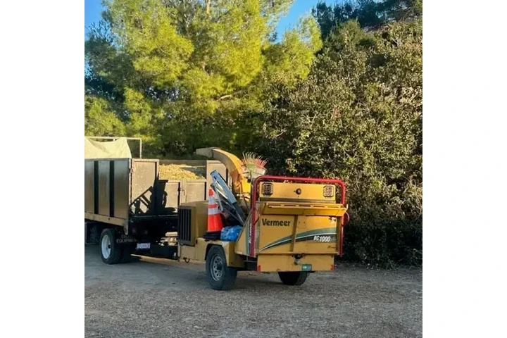 Aguilar Tree Trimming image 3