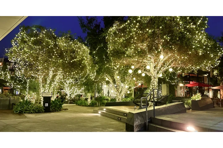 Top christmas light installati image 1