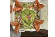 Busco trabajo de cocinero