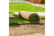 Basilio Landscaping thumbnail 2