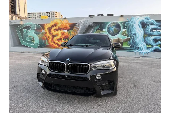 $25995 : 2016 BMW X6 M image 3