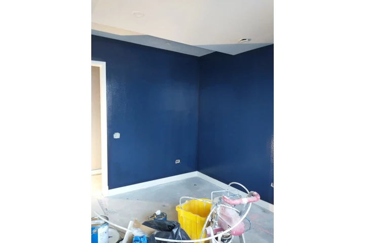 Professional Painting Services image 3