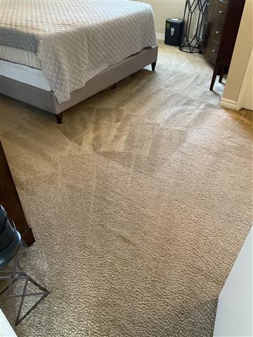 Steam Carpet Cleaning image 2