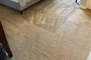 Steam Carpet Cleaning thumbnail 2