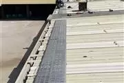 PASO DE GATO en Tijuana