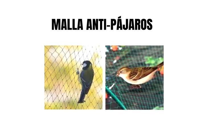 $1 : Red Protectora Antipájaros image 1