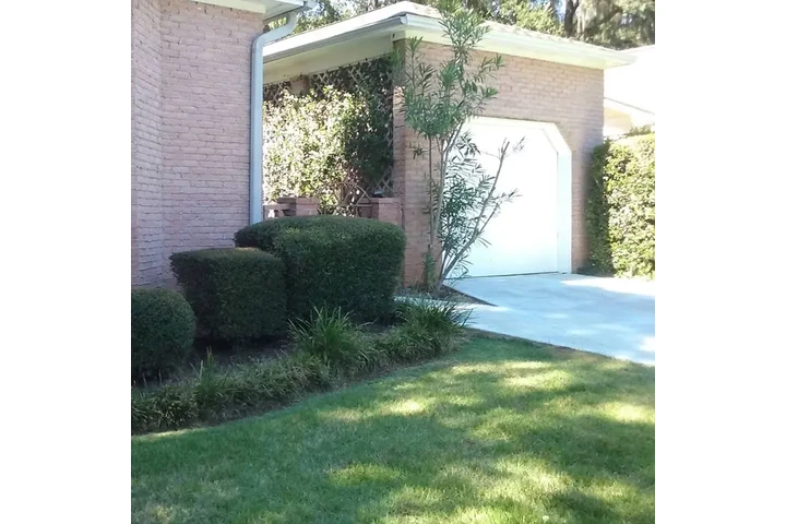 Lawn Maintenance in Tallahasse image 3