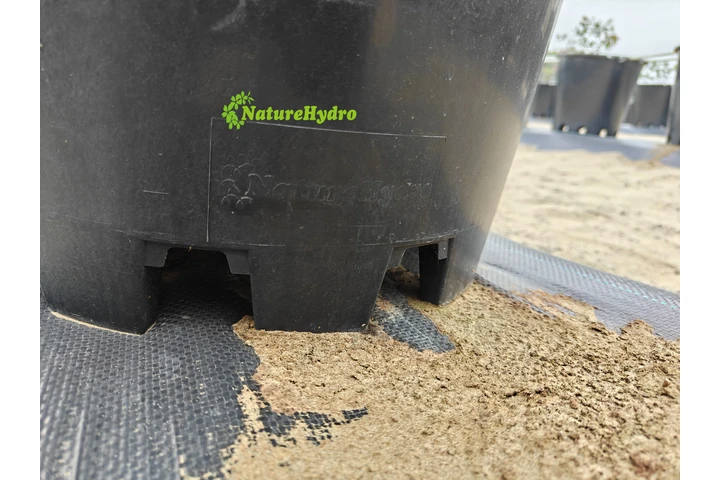 $20000 : Naturehydro Macetas Plásticas image 5