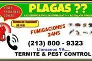 ¿PLAGAS EN TU HOGAR O NEGOCIO? en Los Angeles