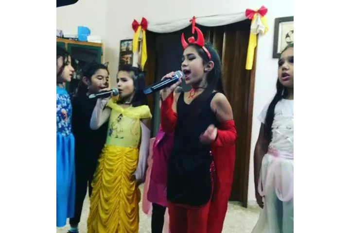 Alquiler de Karaoke y Video DJ image 3