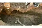 GH PLUMBING SERVICES thumbnail