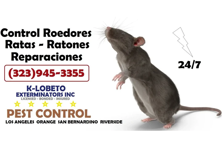Exterminator Los Angeles 24/7. image 4