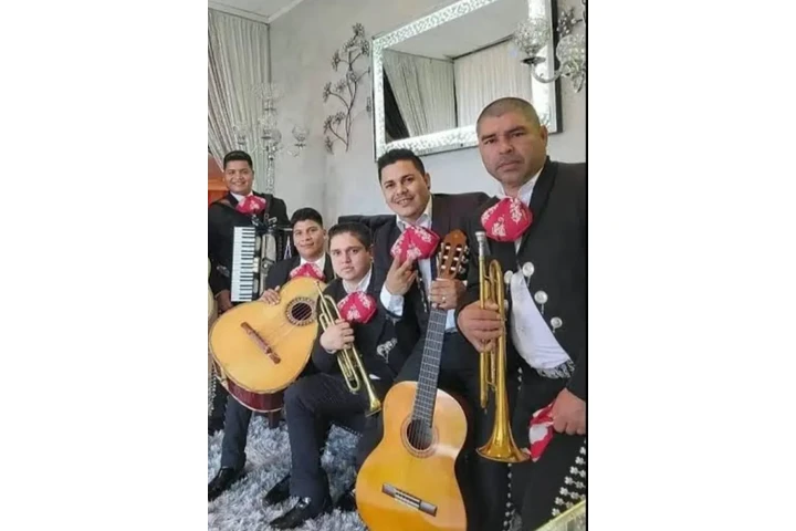 MARIACHI LOS MUCHACHOS ALEGRE* image 1