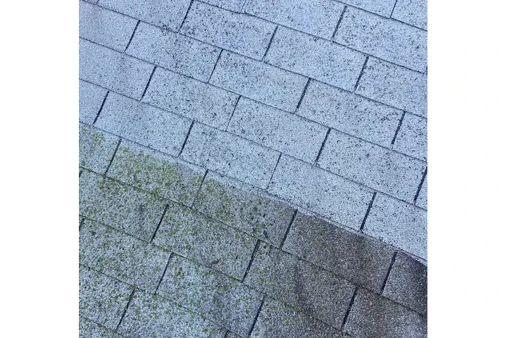 Pressure washing service image 3