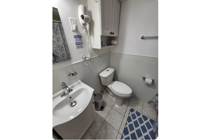 $1200 : 1 Bedroom 1 Bathroom AMOBLADO image 3