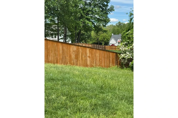 🌳HIDALGO LANDSCAPING SERVICES image 7