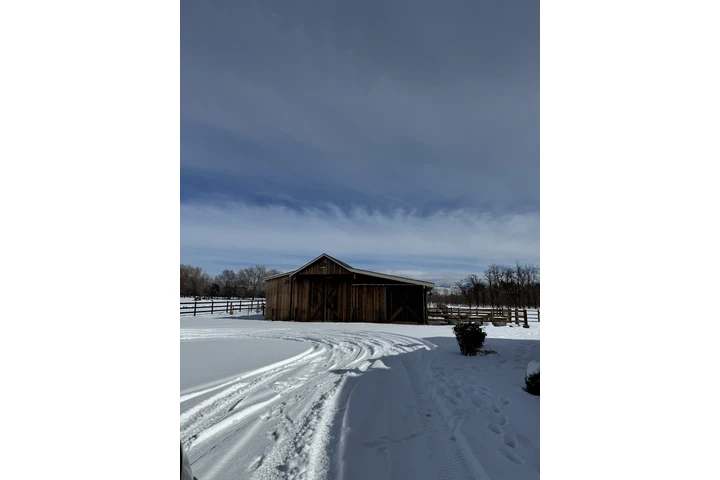 Land manager image 4