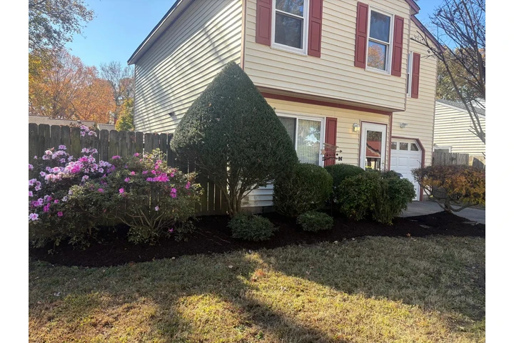 Professional Landscaping image 8