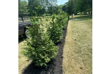 Corte de árboles seguro en Arlington VA