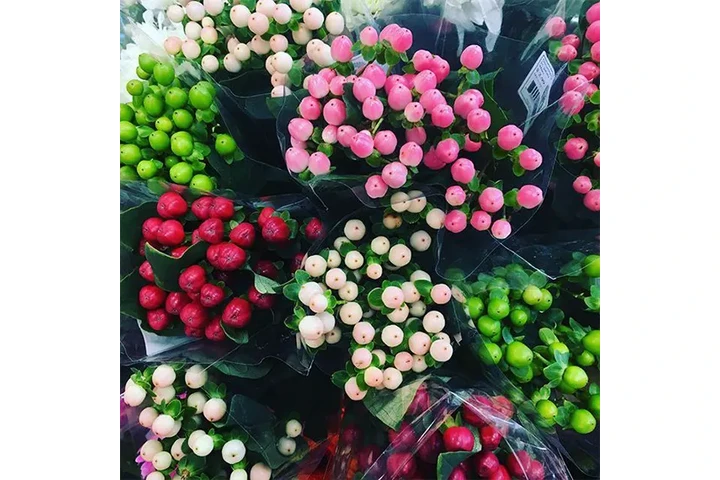 Premium Roses Wholesale image 8