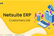 Netsuite ERP Users List